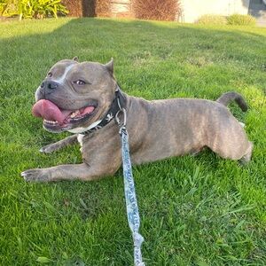 Meet your Posher, Briana